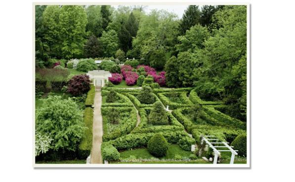 garden1